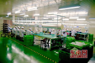 大抓工業(yè) 漳州為傳統(tǒng)產業(yè)植入 互聯(lián)網(wǎng) 基因