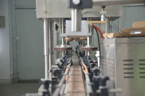 揭曉 我市在第三屆全國蝦蟹產業發展高峰論壇喜獲豐收