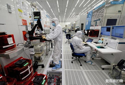 名校精英留學(xué)海外,中國芯片發(fā)展該如何解決