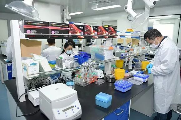 全力以赴、爭分奪秒加強科技攻關!李強今天調研生物醫藥企業,要求加快抗疫產品研發、應用、生產