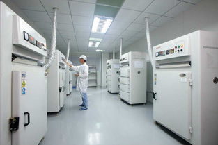 招聘信息 公司前景 規(guī)模 待遇怎么樣