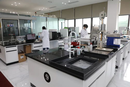 聚力打造協(xié)同創(chuàng)新引領(lǐng)區(qū)和創(chuàng)新策源地 唐川調(diào)研科技創(chuàng)新 研發(fā) 企業(yè)