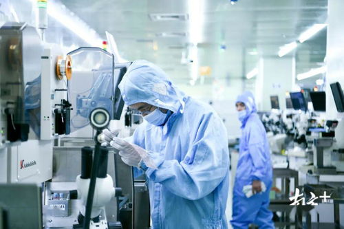 硅谷背后站著華爾街,廣東呢