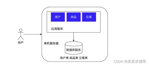 初識(shí)Redis 現(xiàn)代化數(shù)據(jù)處理與存儲(chǔ)服務(wù)探秘